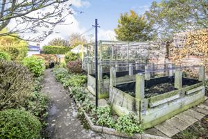 Vegetable plots- click for photo gallery